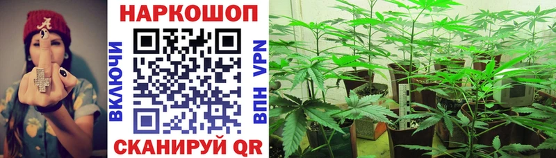 Наркота Алупка Псилоцибиновые грибы  МЕФ  ГАШ  Бошки Шишки 