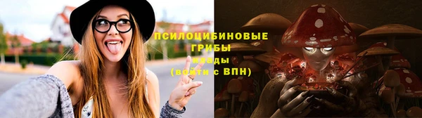 дживик Алзамай