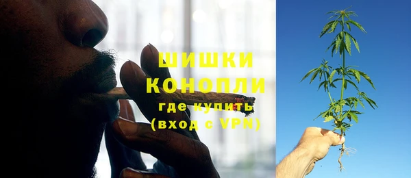 дживик Алзамай