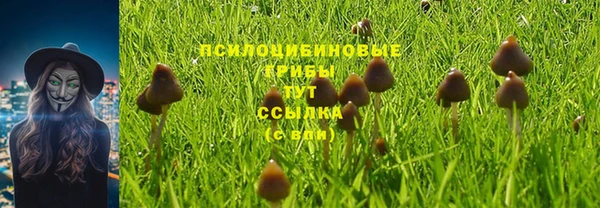 ГАЛЛЮЦИНОГЕННЫЕ ГРИБЫ Алексеевка