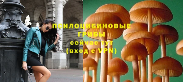 ГАЛЛЮЦИНОГЕННЫЕ ГРИБЫ Алексеевка