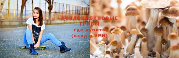 ГАЛЛЮЦИНОГЕННЫЕ ГРИБЫ Алексеевка