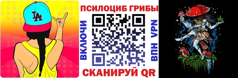 купить   Алупка  Галлюциногенные грибы Cubensis 